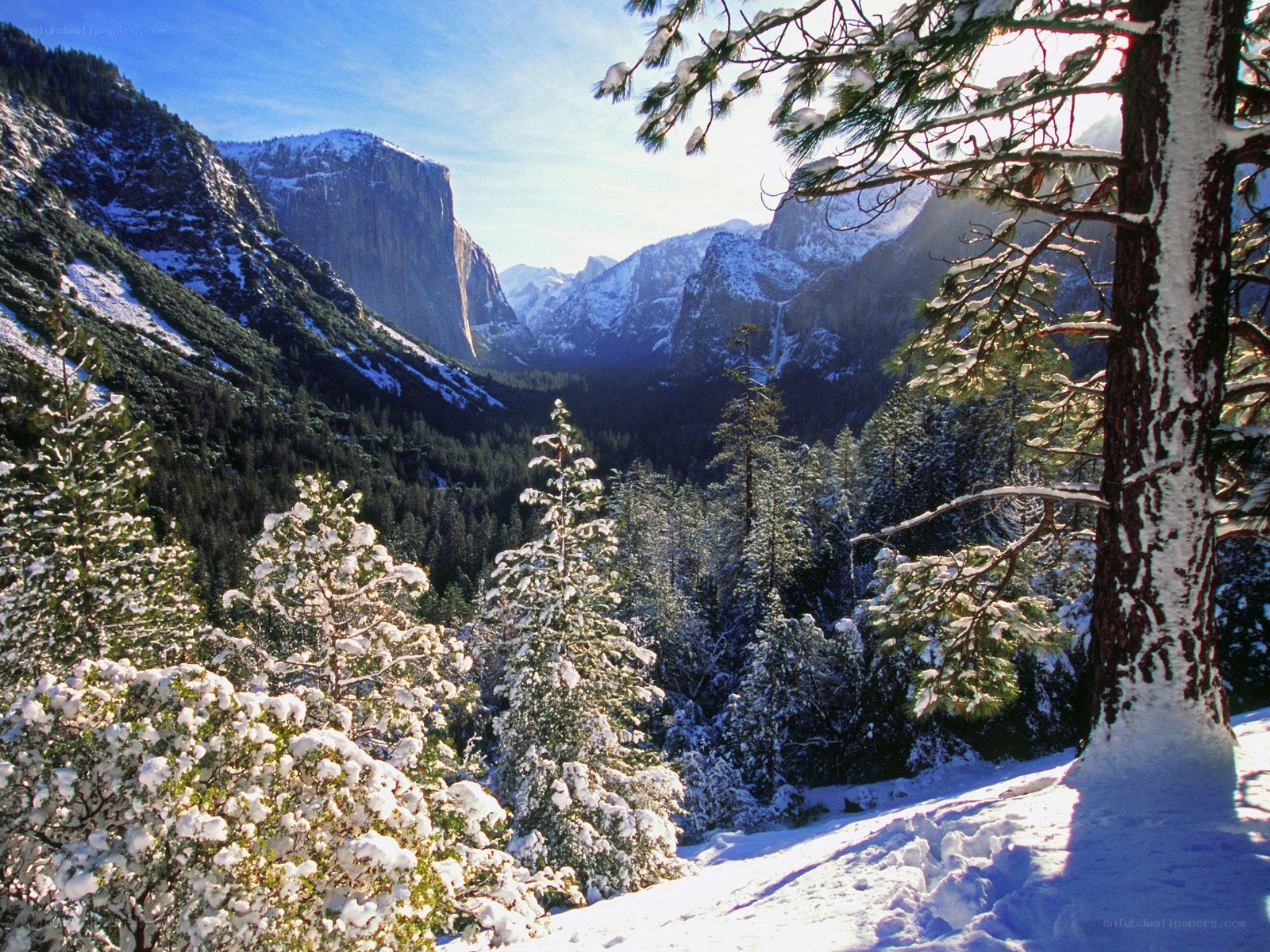 Snowy Yosemite Valley