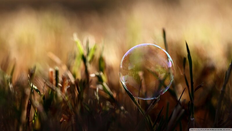 Soap Bubble on Grass — Green, Serene, Sunset, Photograph
