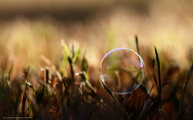 Soap Bubble on Grass — Green, Serene, Sunset