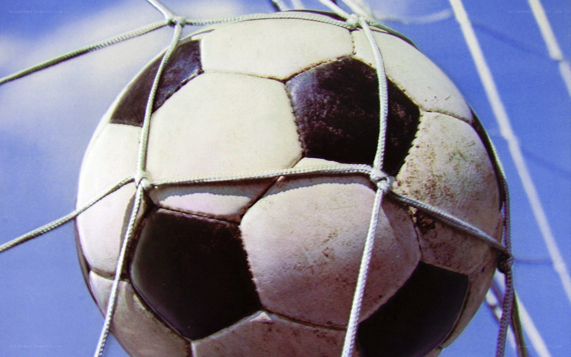 soccer ball in goal net