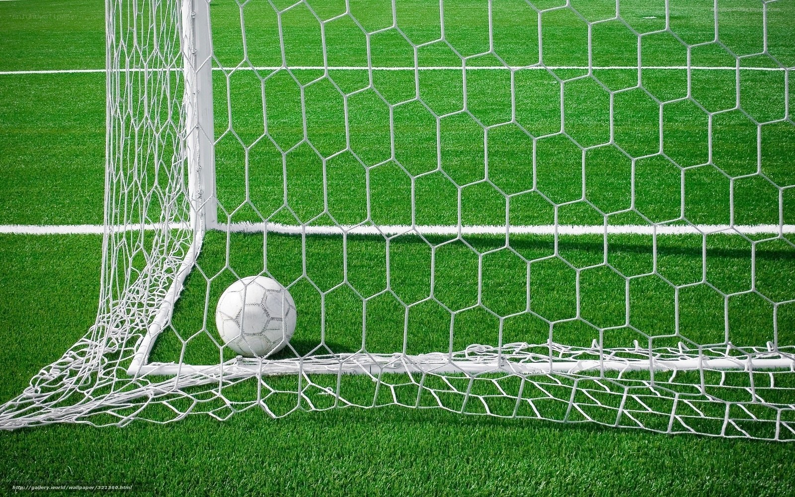 Soccer ball in goal net