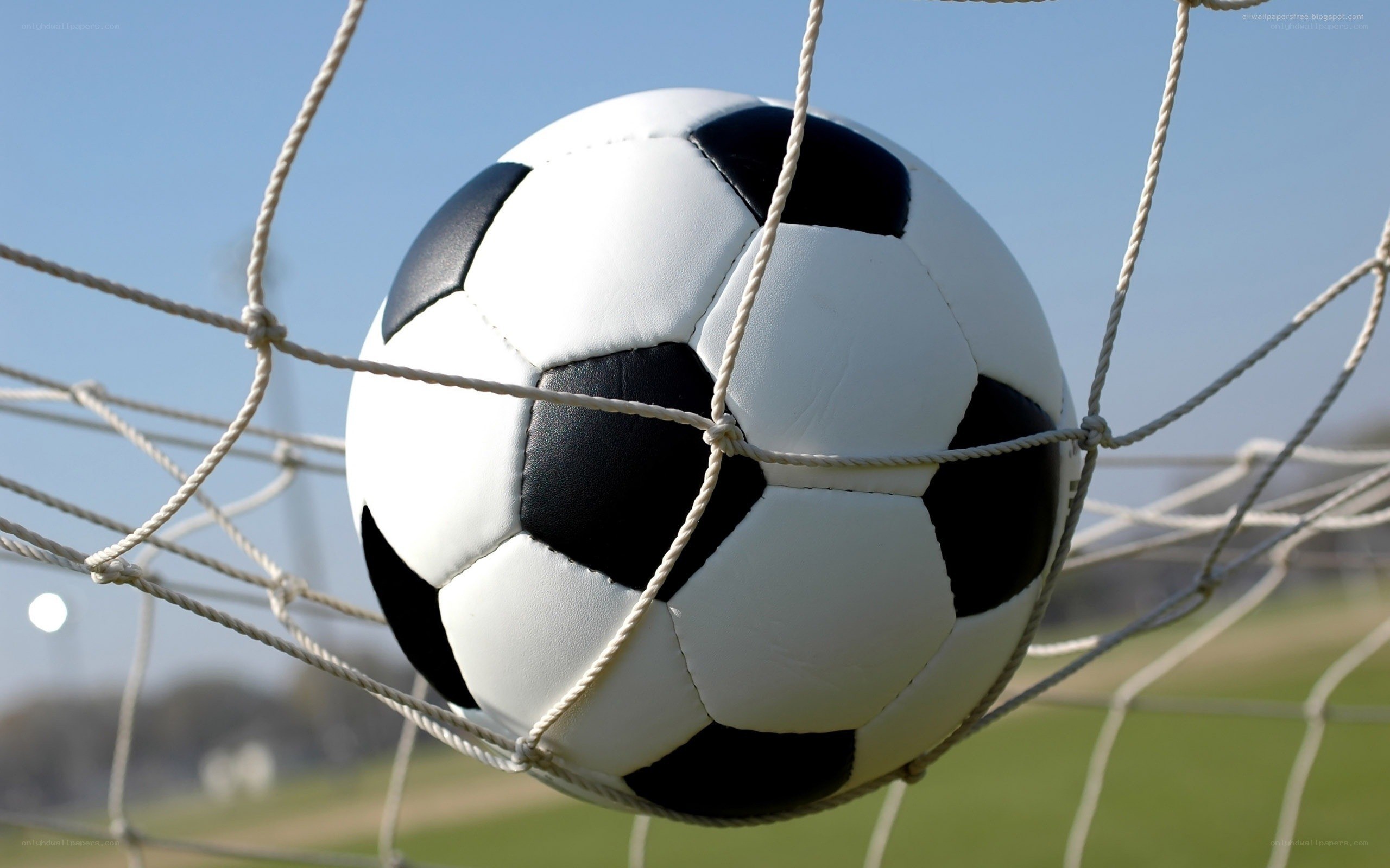 Soccer ball in goal net