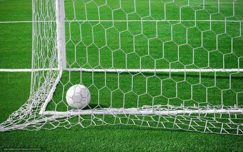 Soccer Ball in Goal