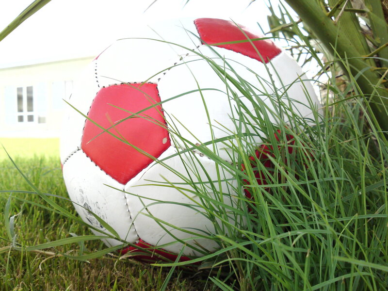 soccer ball in grass