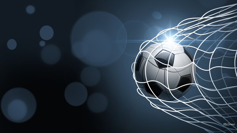 Soccer Ball in Net — Blue