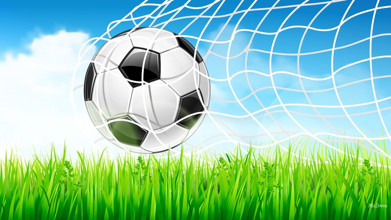 Soccer Ball in Net — Green