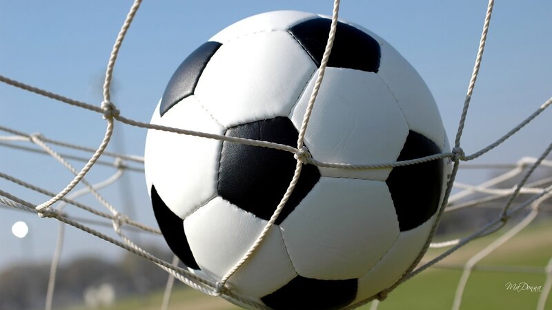 Soccer Ball in Net