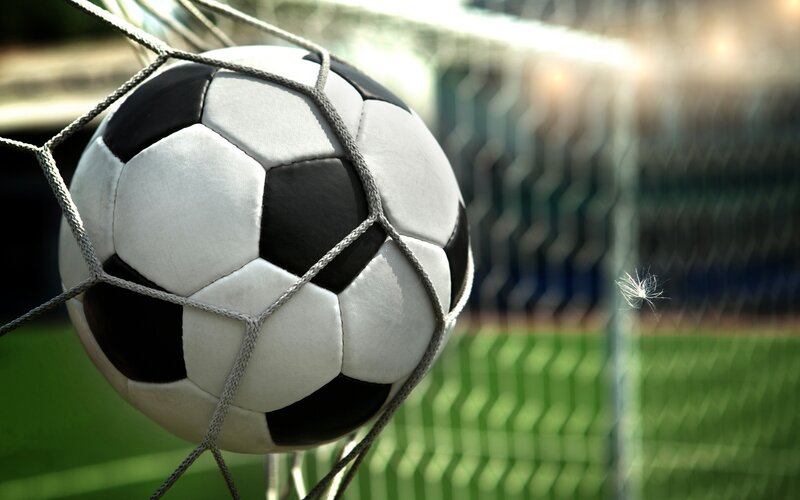Soccer Ball in Net — White