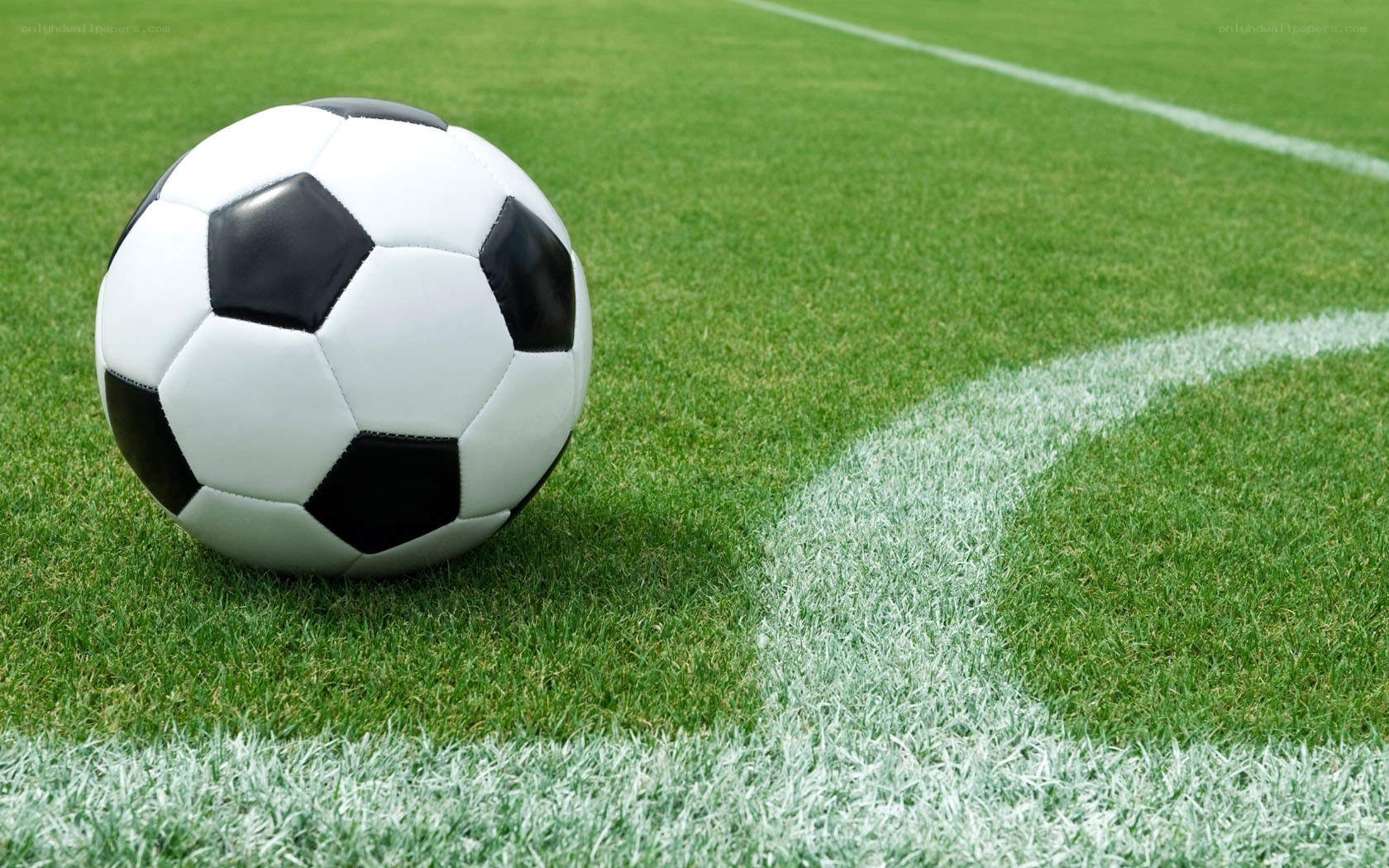 Soccer ball on a field