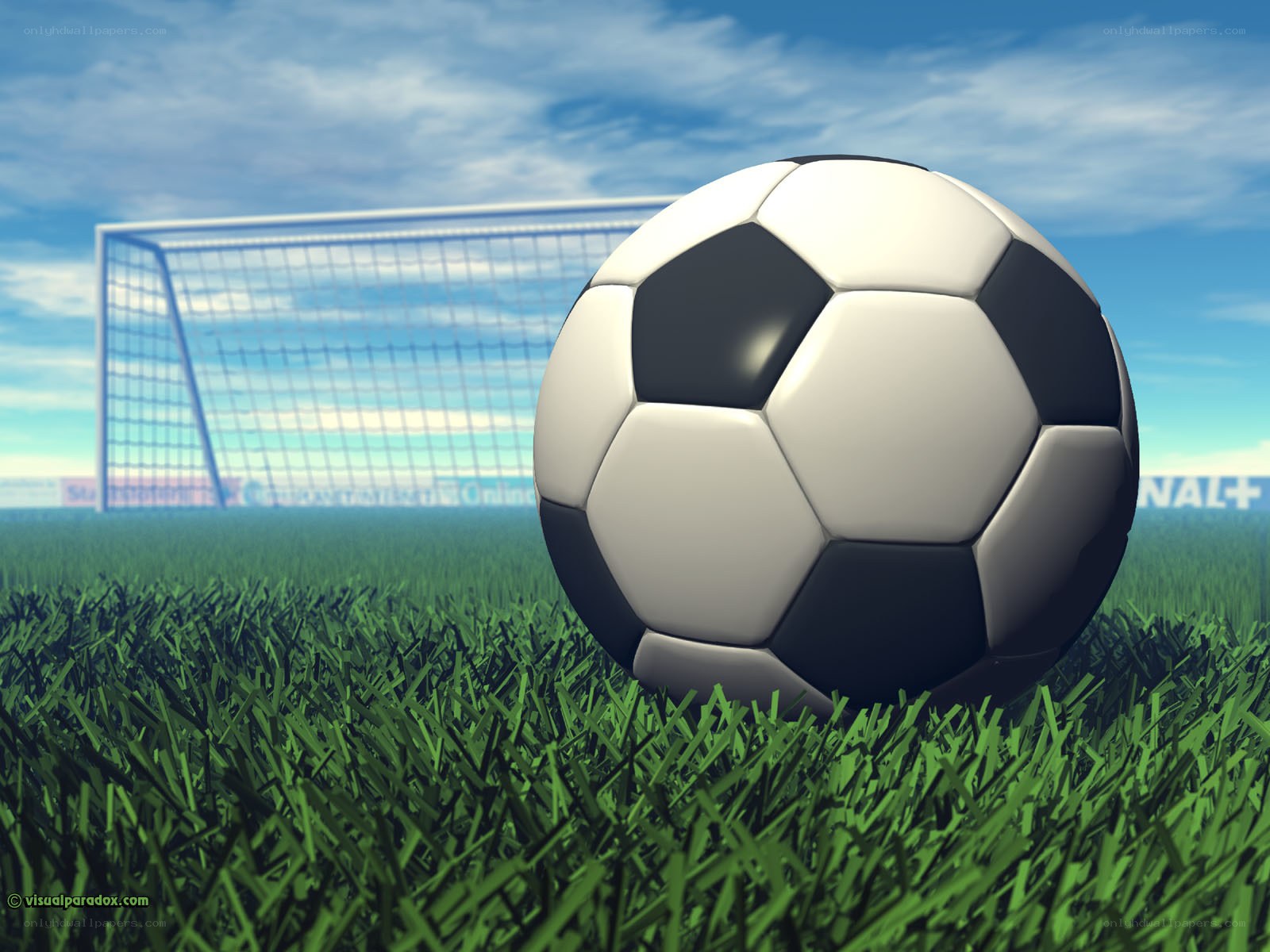 Soccer ball on a field