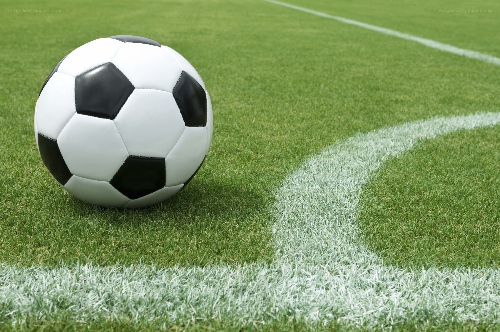 Soccer ball on a field
