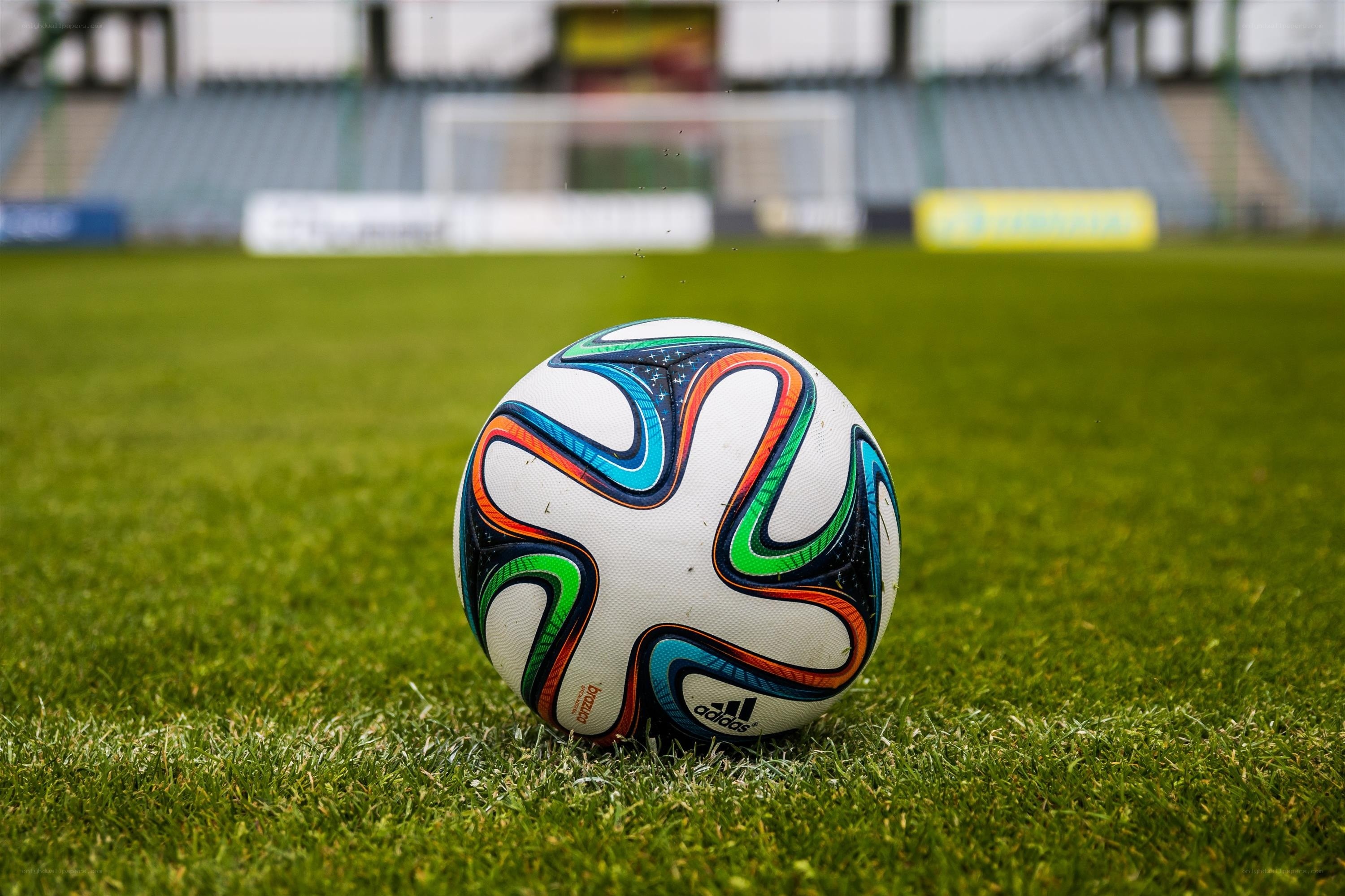 Soccer ball on a field