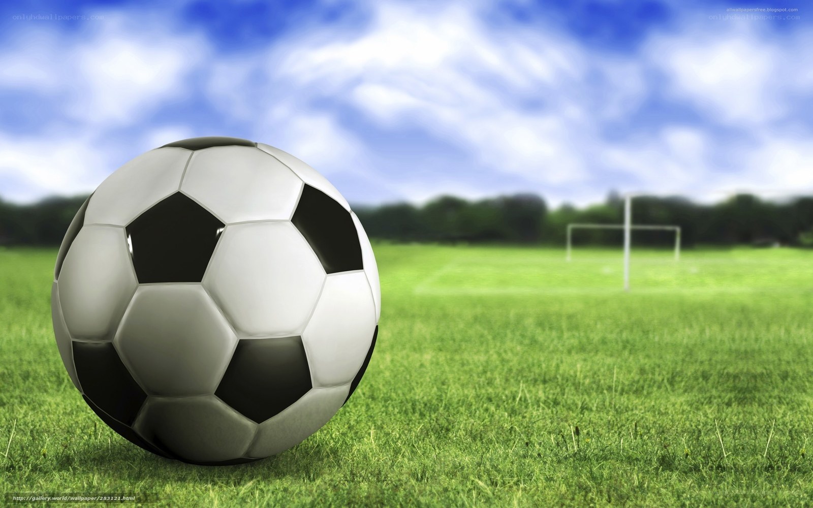 Soccer ball on a green field