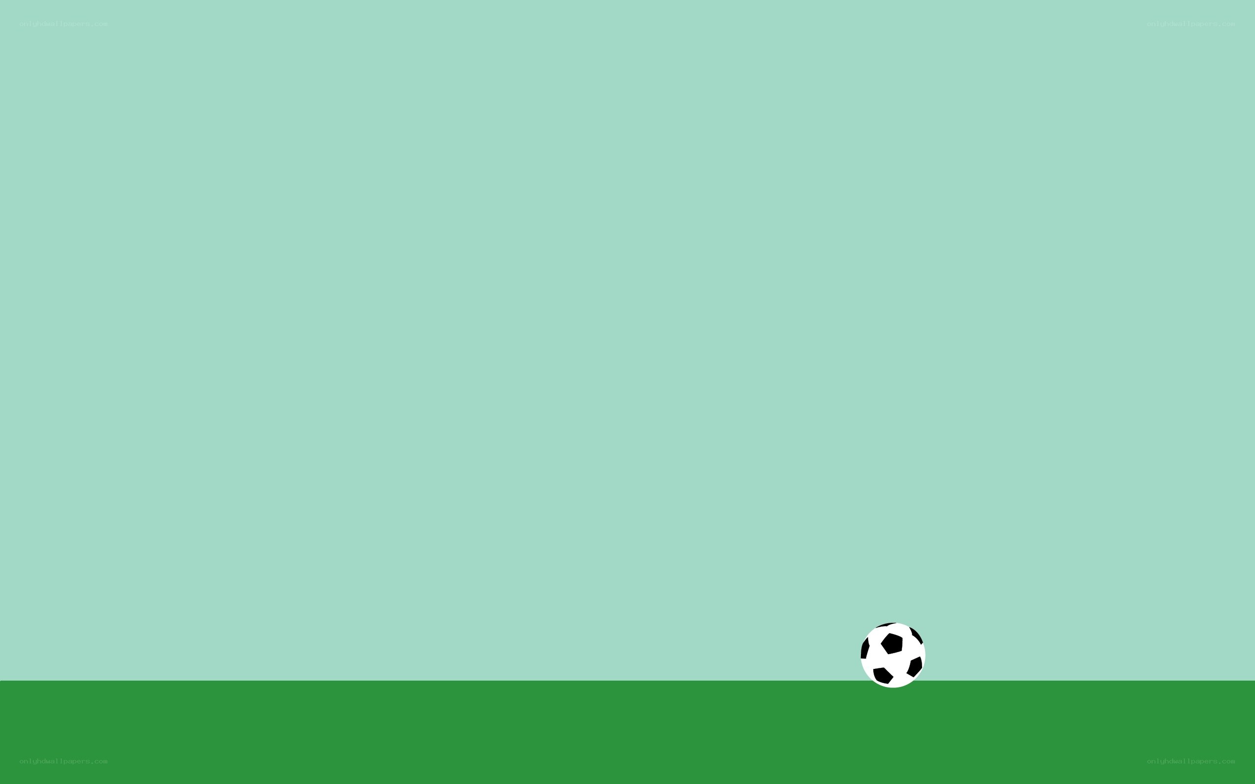 soccer ball on field