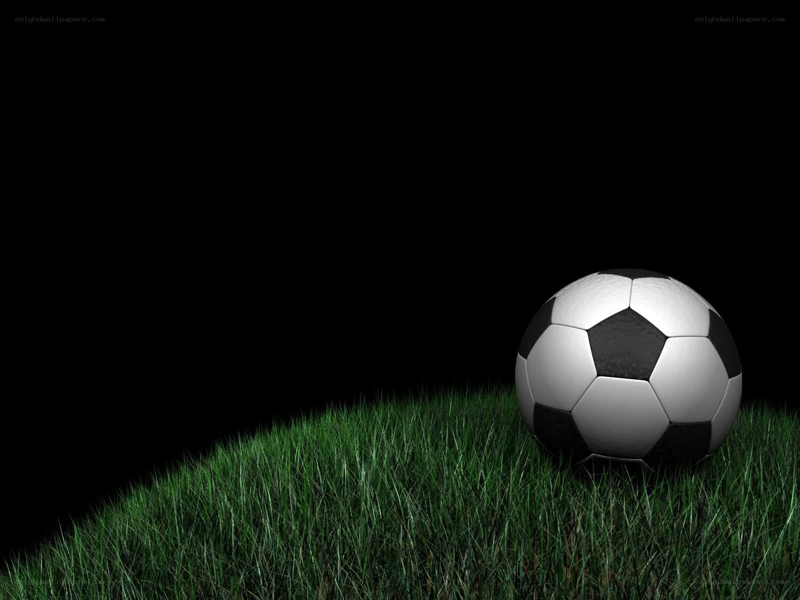 soccer ball on grass