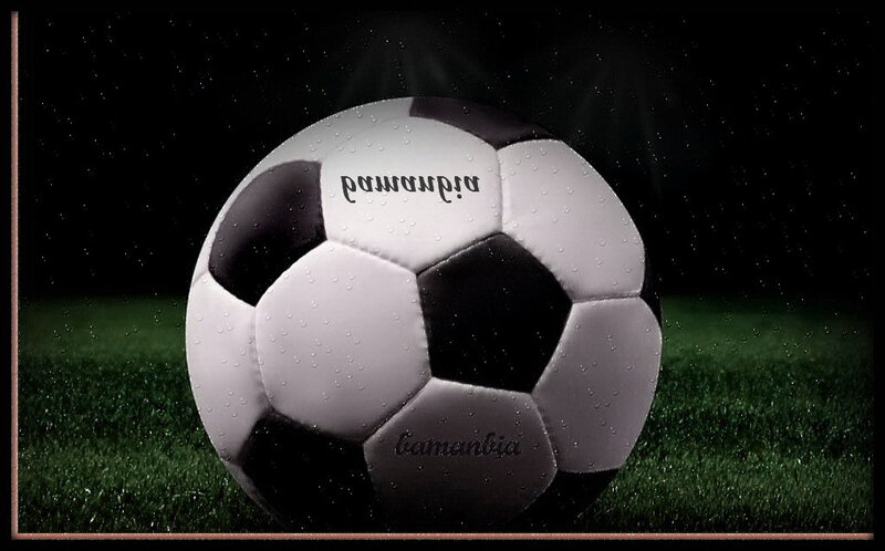 Soccer Ball on Grass — Black