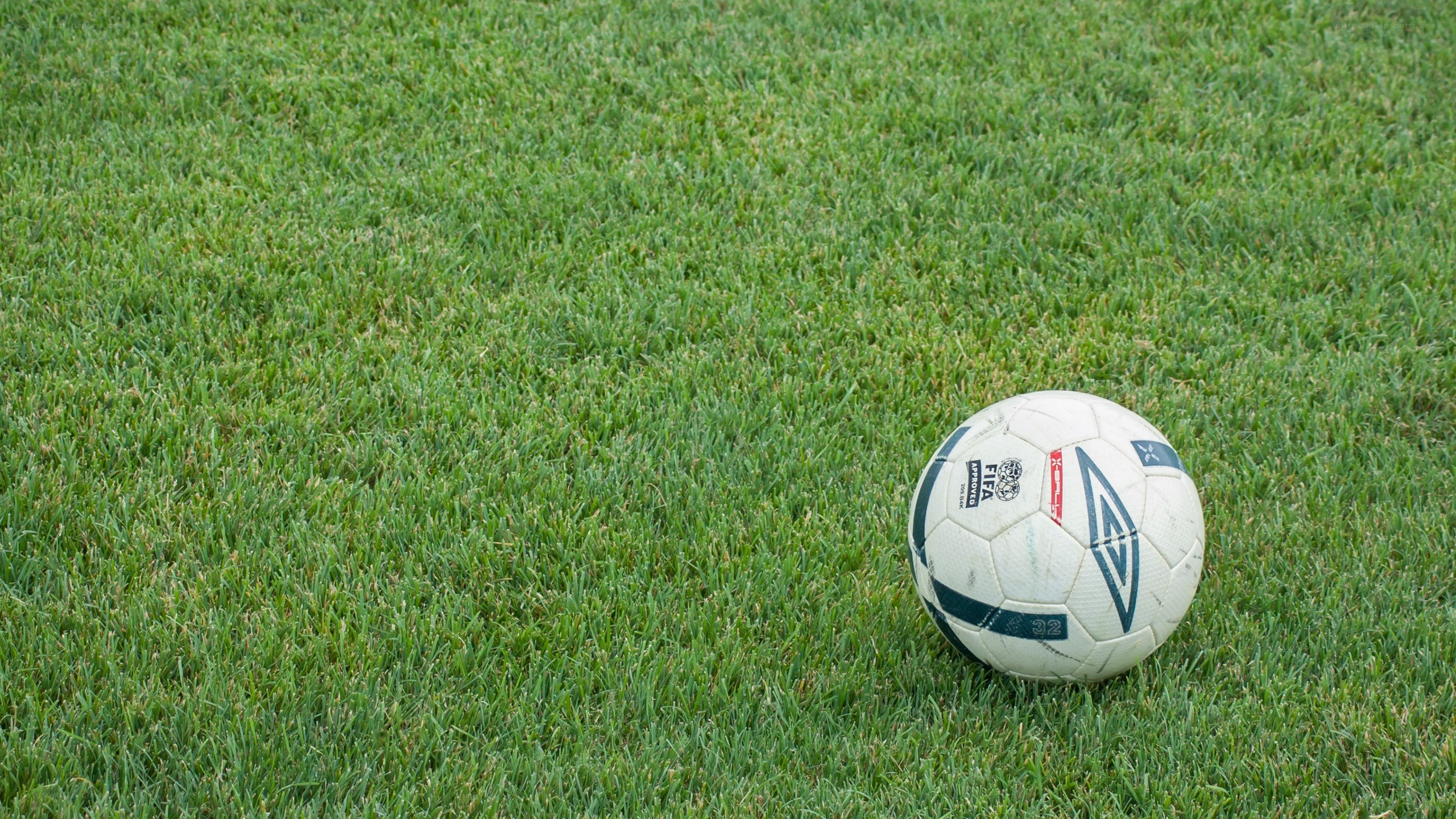 soccer ball on grass field