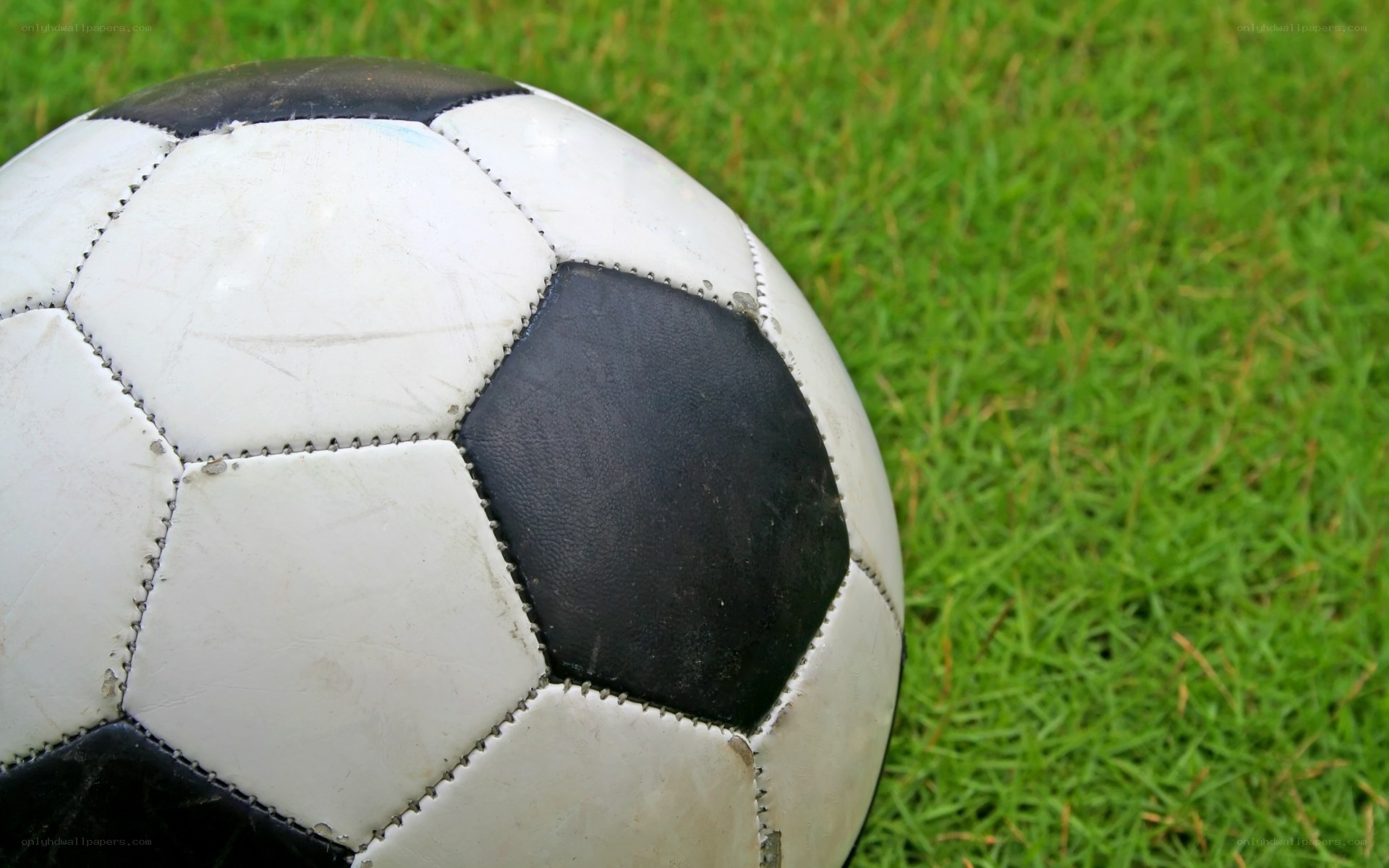 soccer ball on grass field
