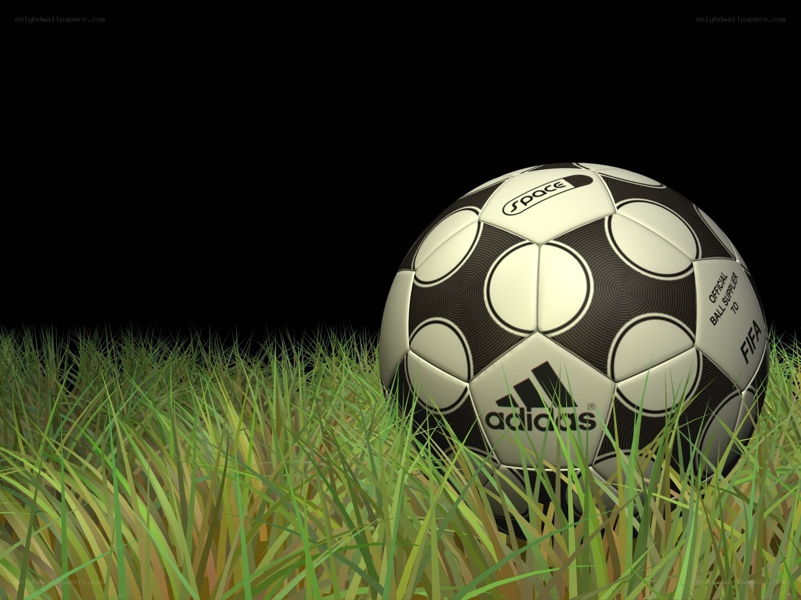 Soccer ball on grass field