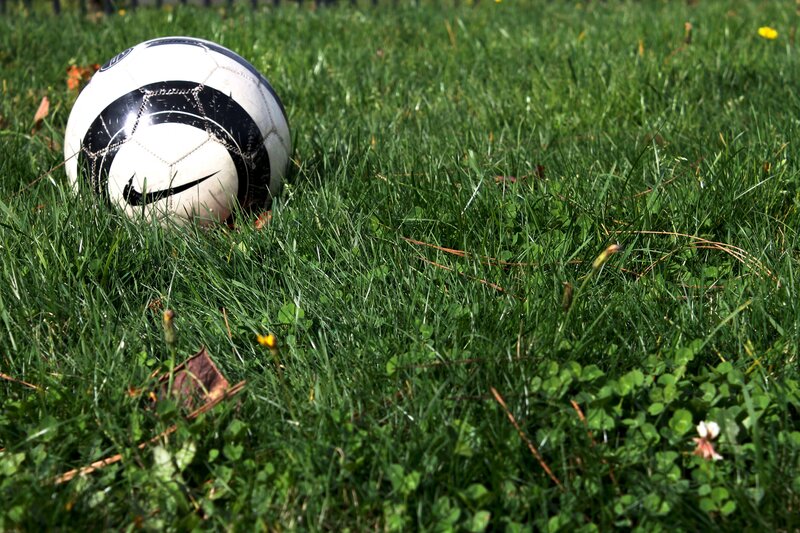 Soccer Ball on Grass — Green, Calm, Afternoon