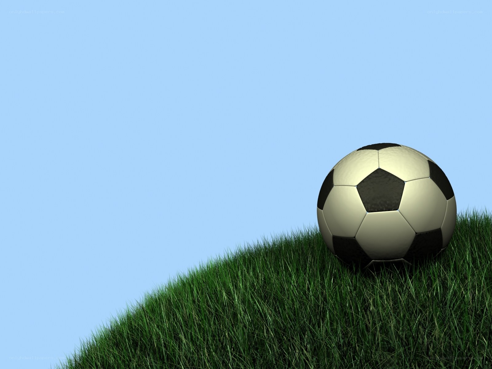 soccer ball on grass hill