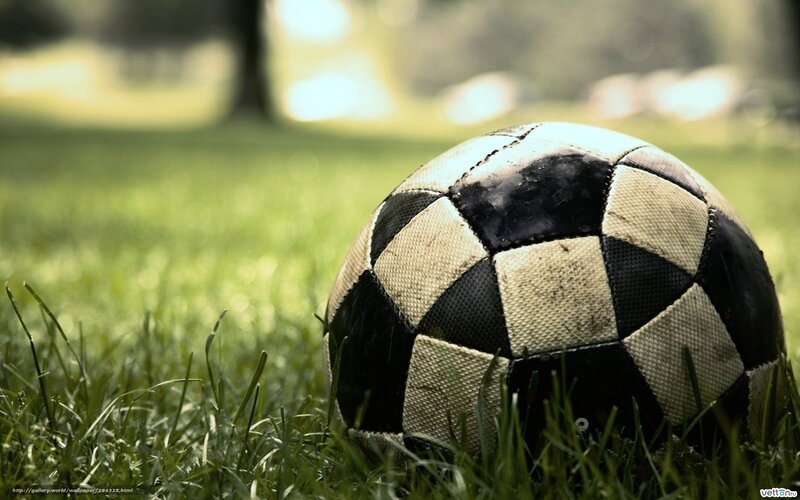 soccer ball on grass