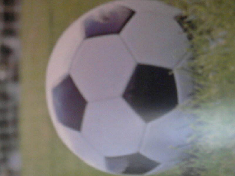 Soccer Ball on Grass — White
