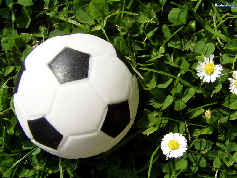 Soccer ball on grass with daisies