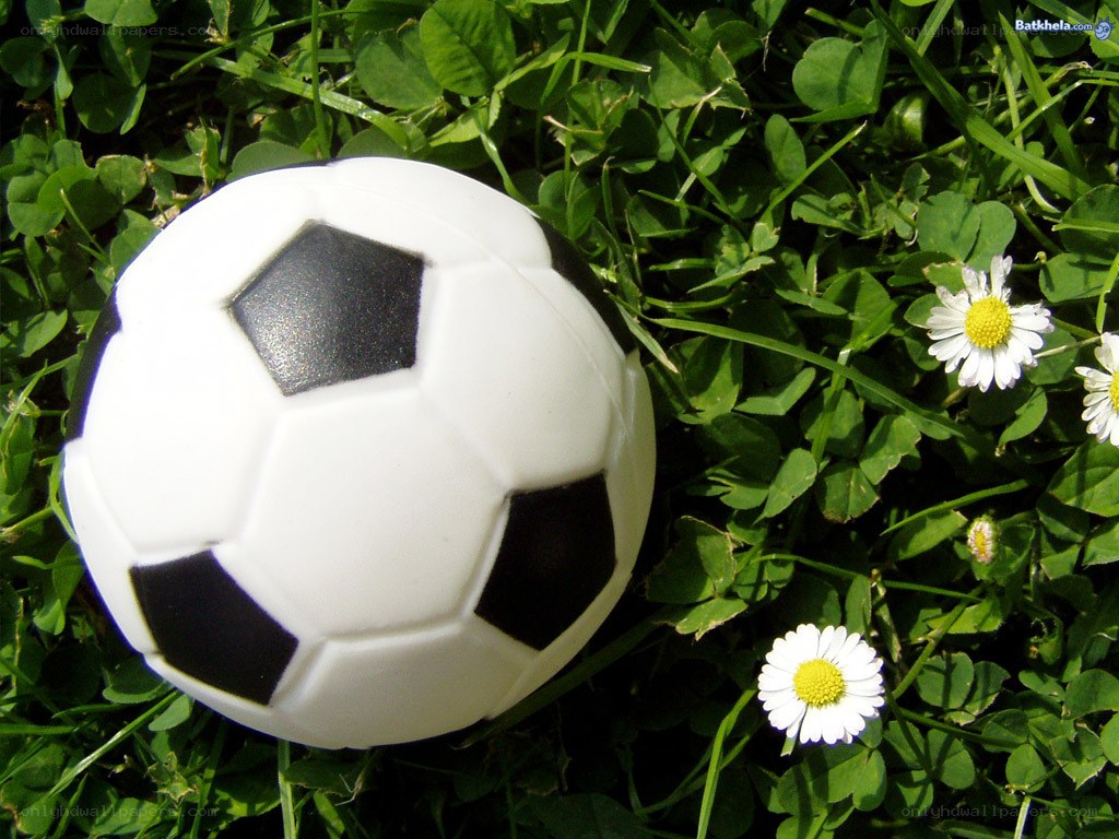Soccer ball on grass with daisies