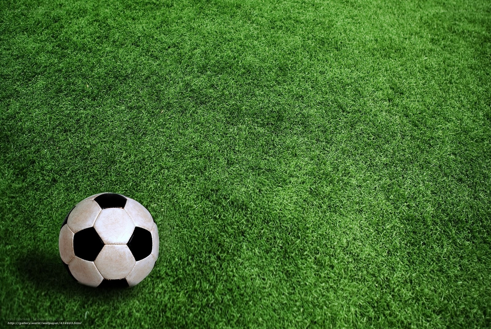 soccer ball on green field