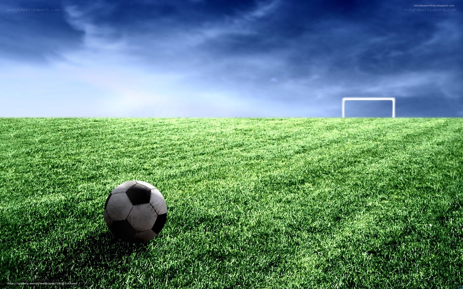 Soccer ball on green field