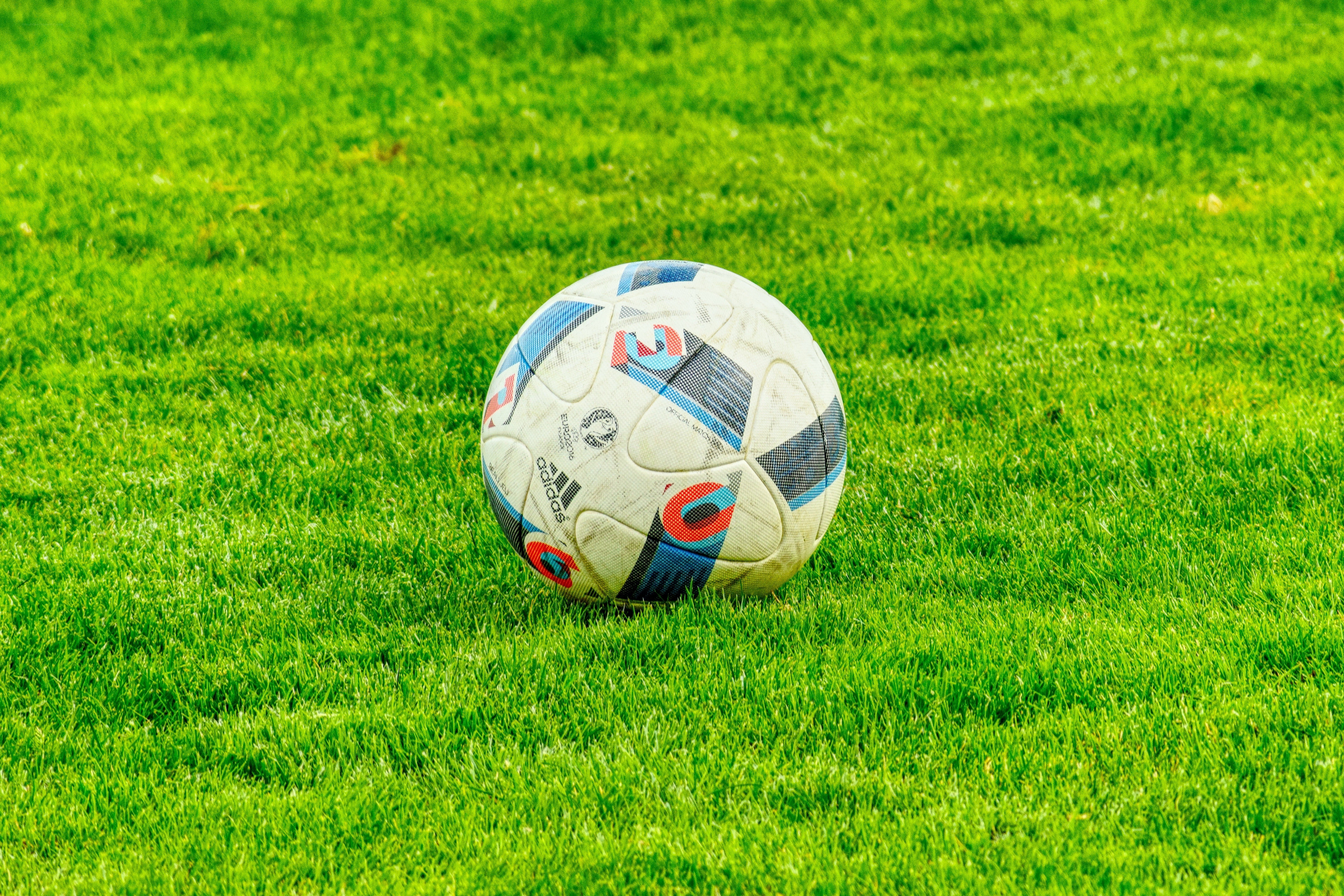Soccer ball on green grass