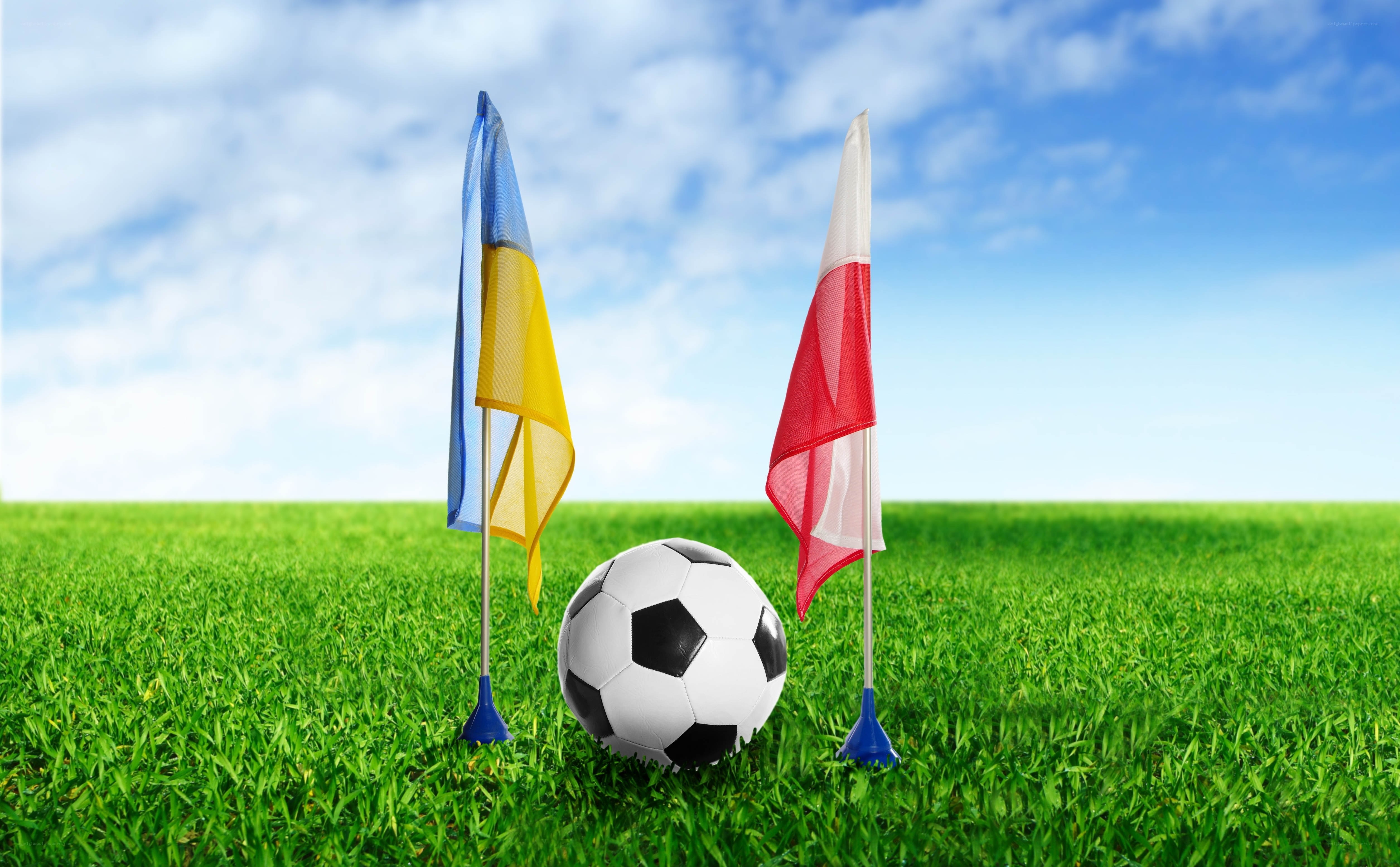 Soccer ball with flags on field