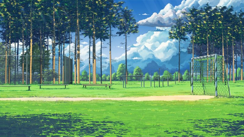 Soccer Field in Forest