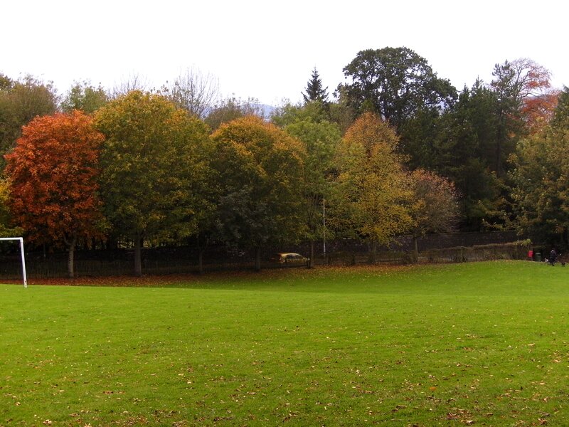 Soccer Field with Autumn Trees