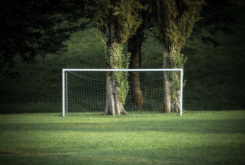 Soccer Goal in Grass