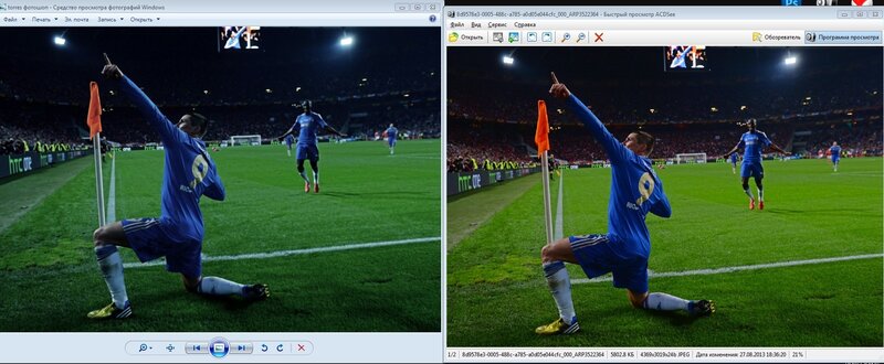 Soccer Player Celebrating — Green, Celebratory, Night, Photograph, Football Field, Crowd, Referee