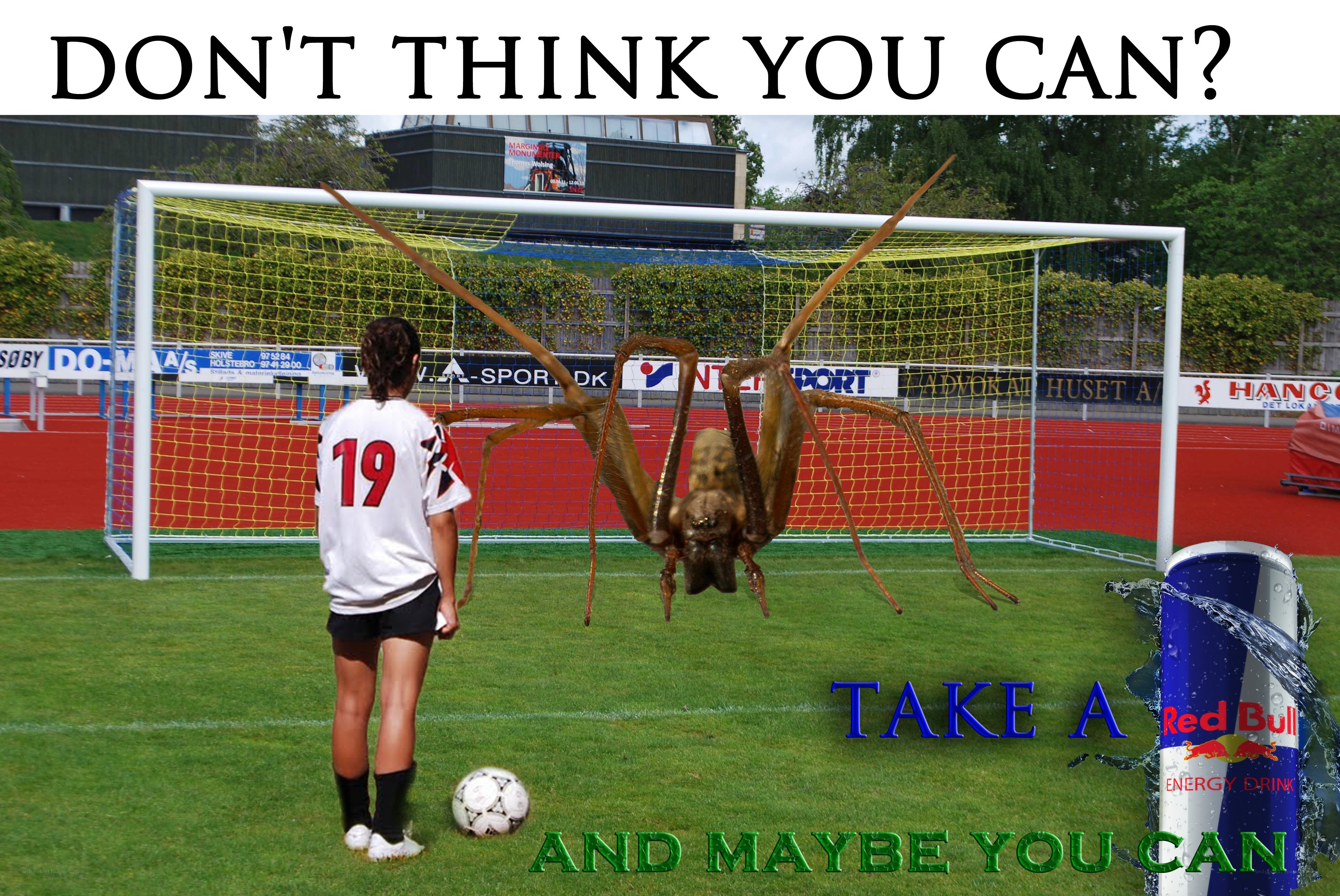 soccer player vs giant spider