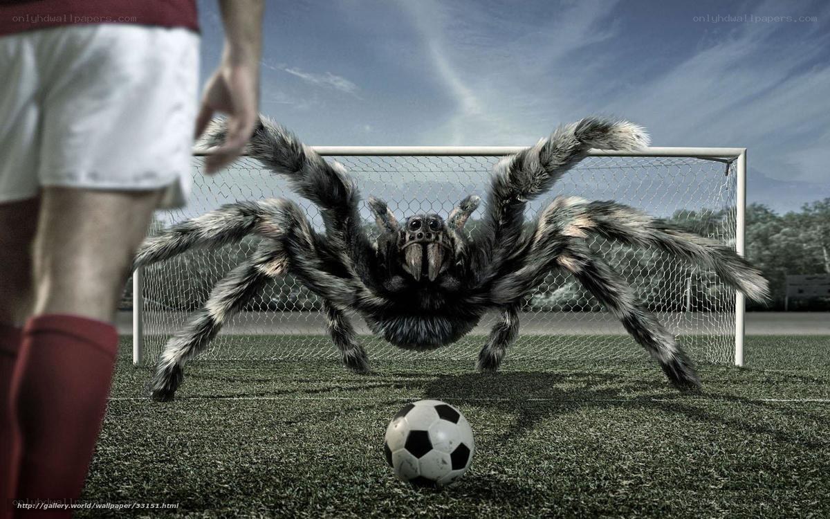 Soccer player vs giant spider