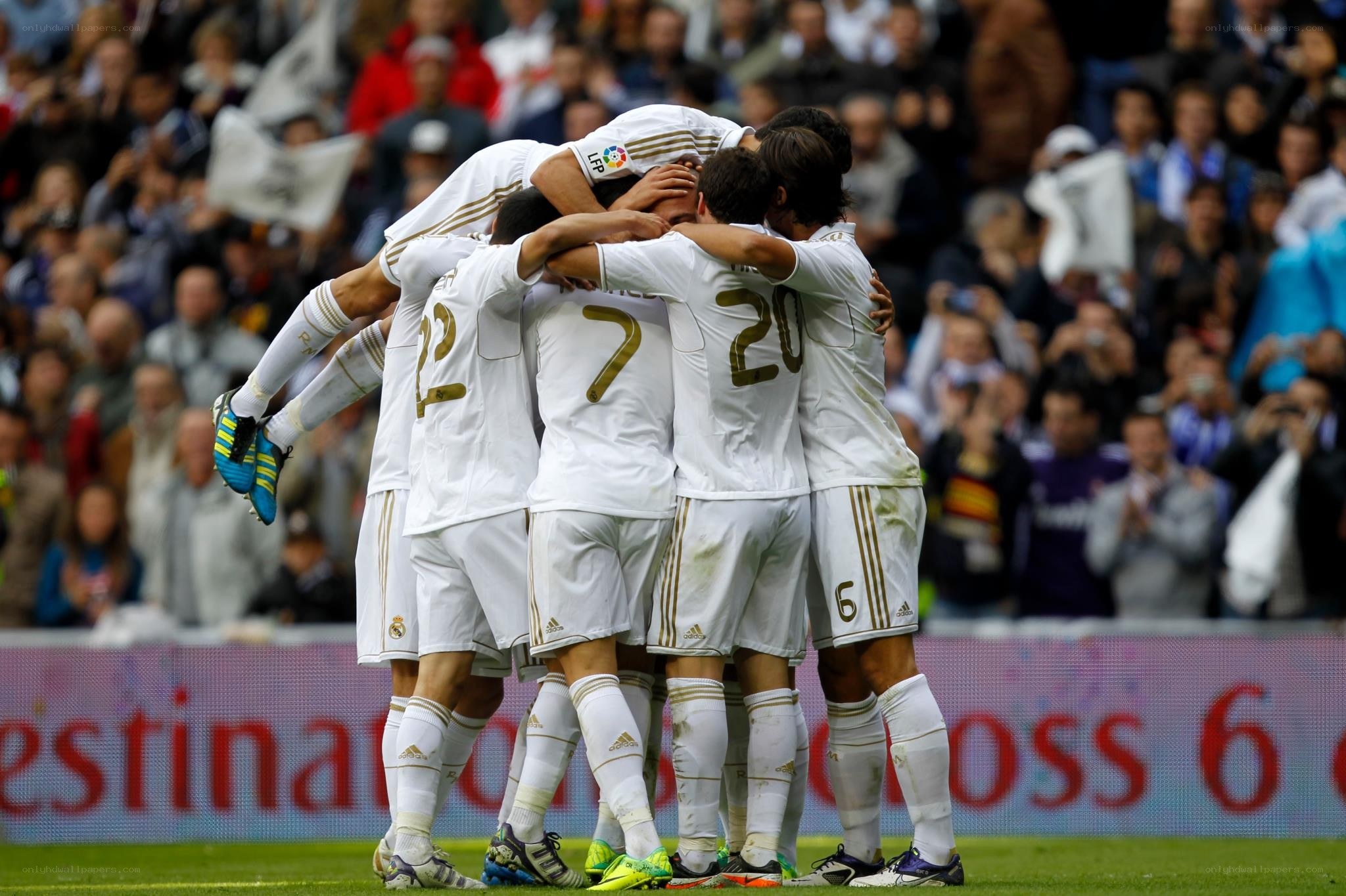 soccer players celebrating