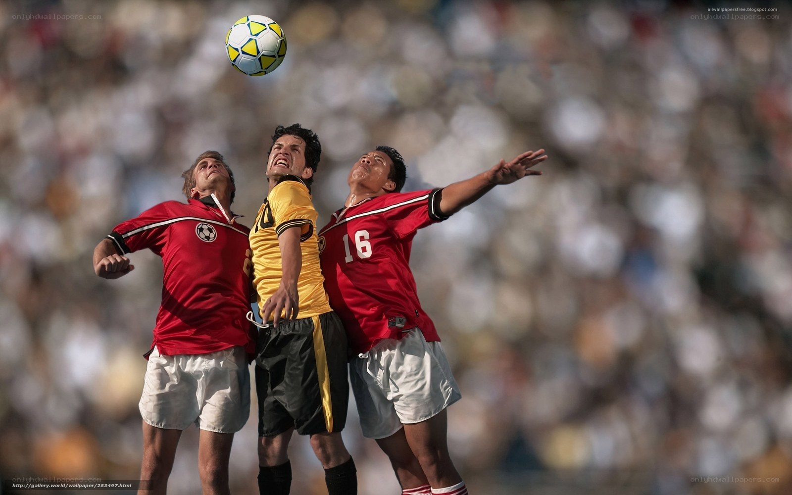 Soccer players heading the ball