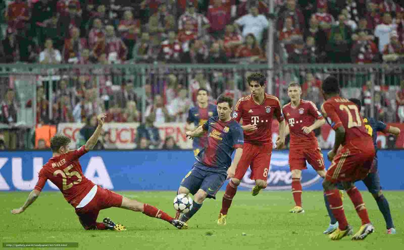Soccer Players in Action — Green, Intense, Night, Photograph, Stadium
