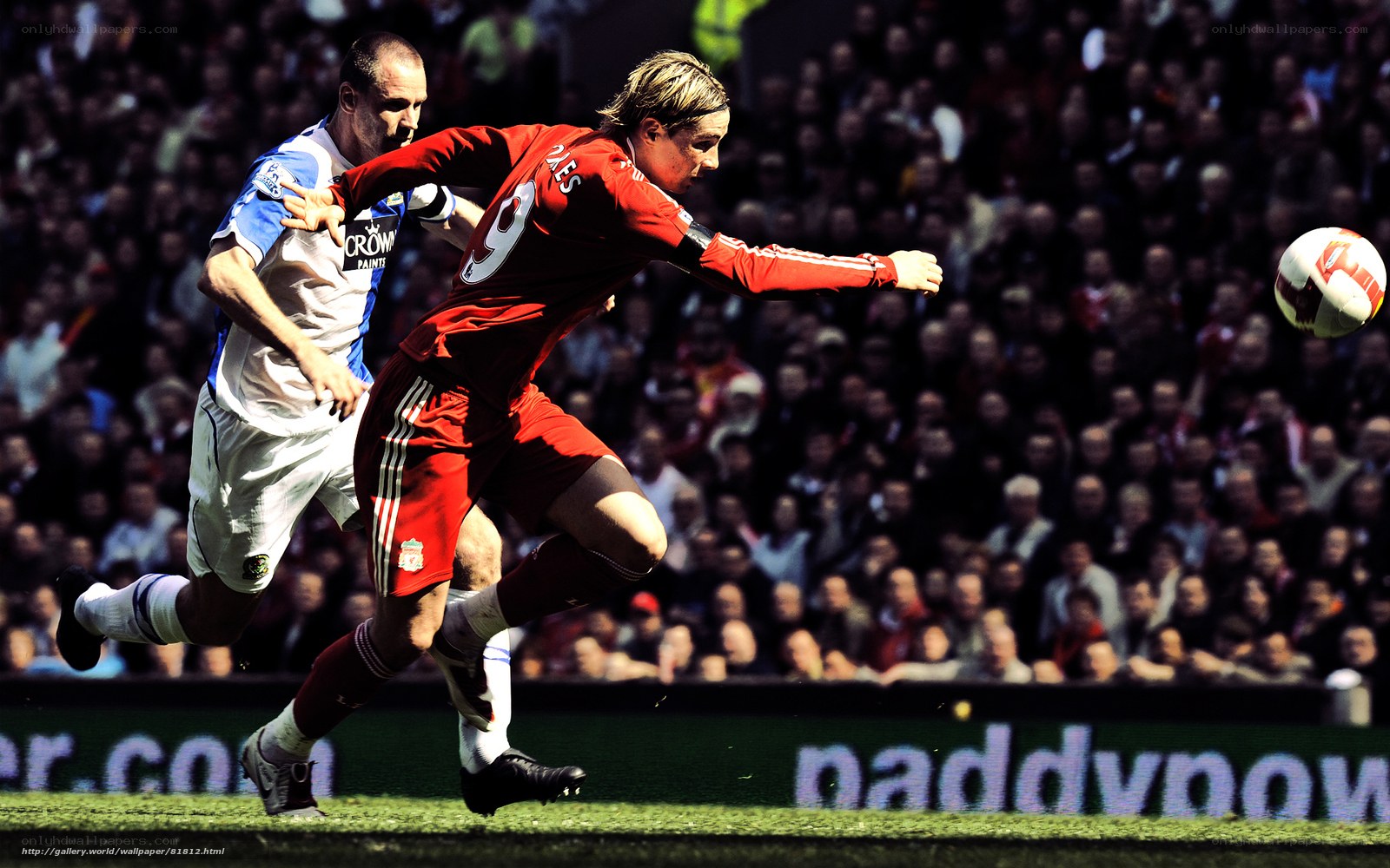 Soccer players in action on field