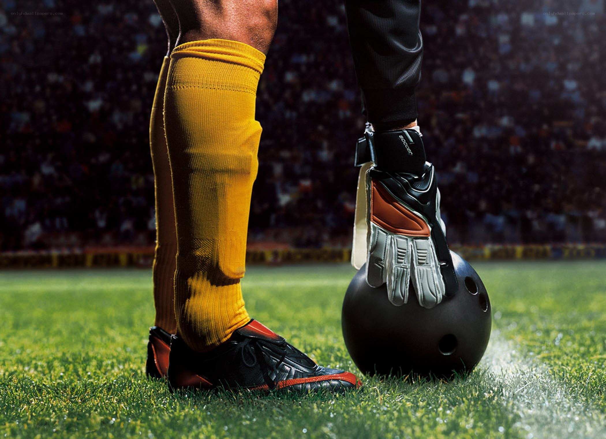 Soccer players on the field