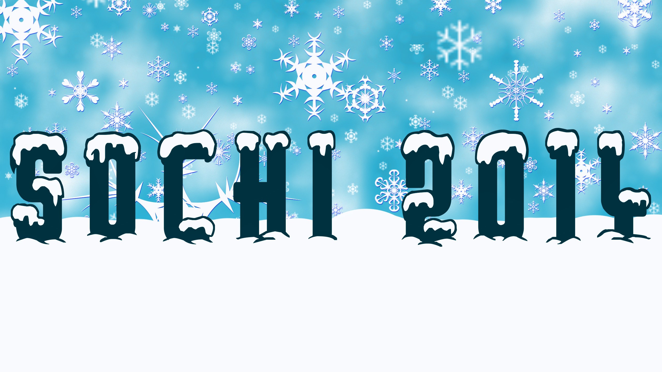 Sochi 2014 Winter Olympics