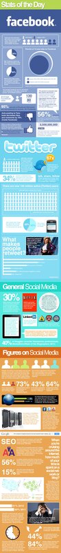Social Media Stats Infographic