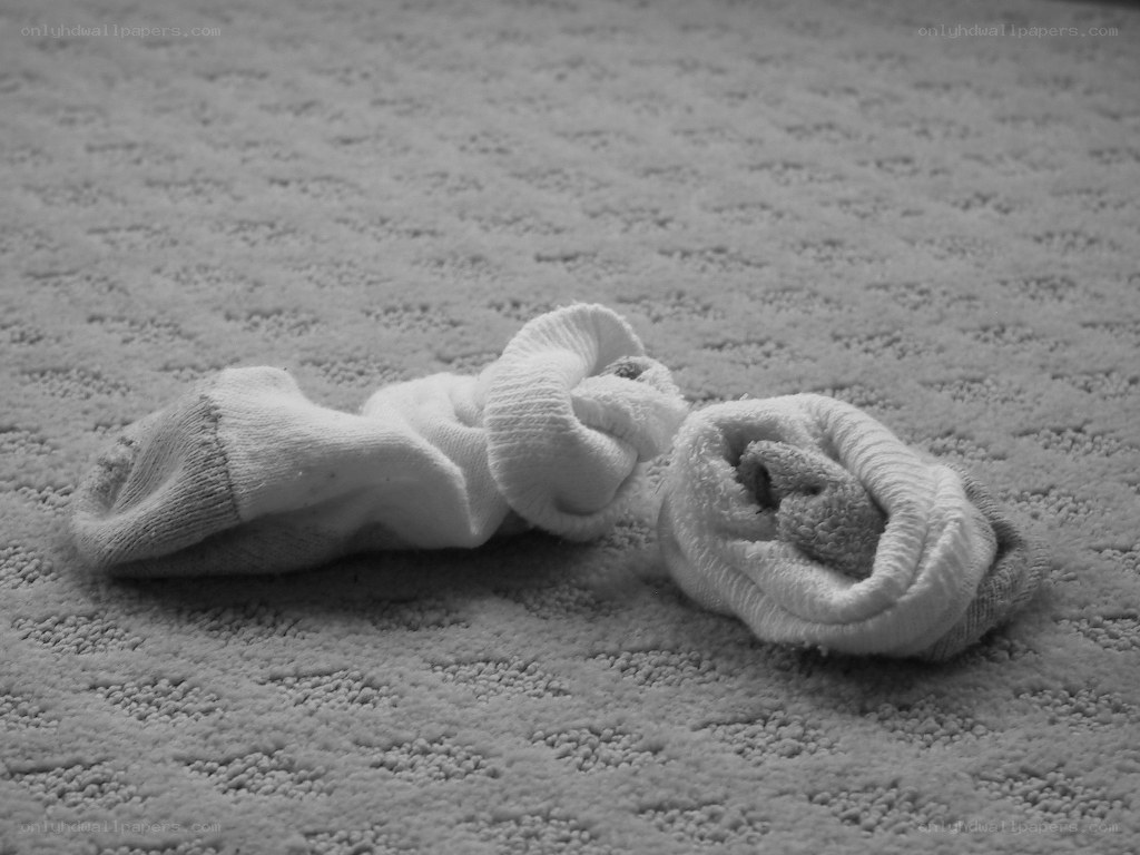 socks on carpet