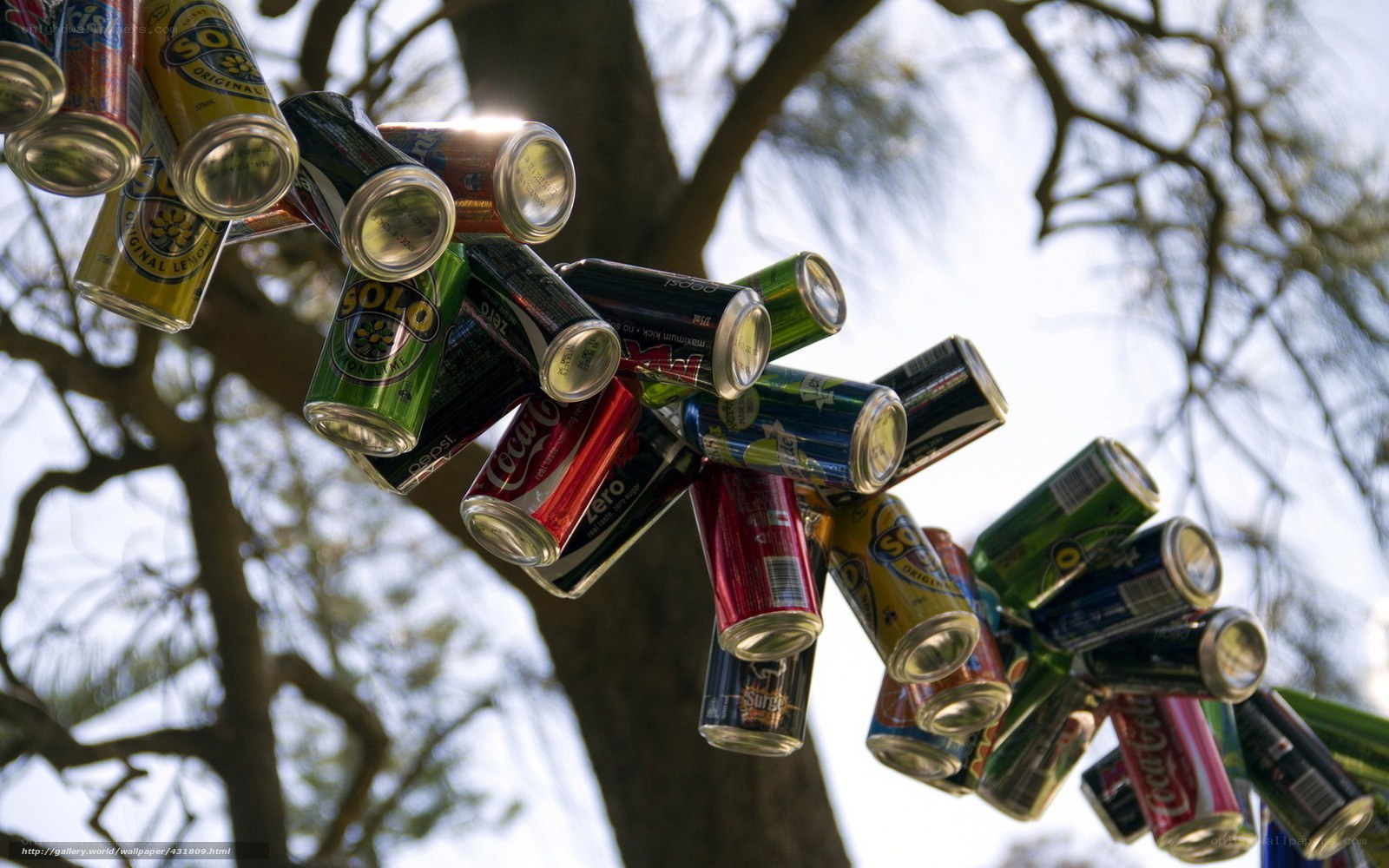 Soda cans hanging from tree