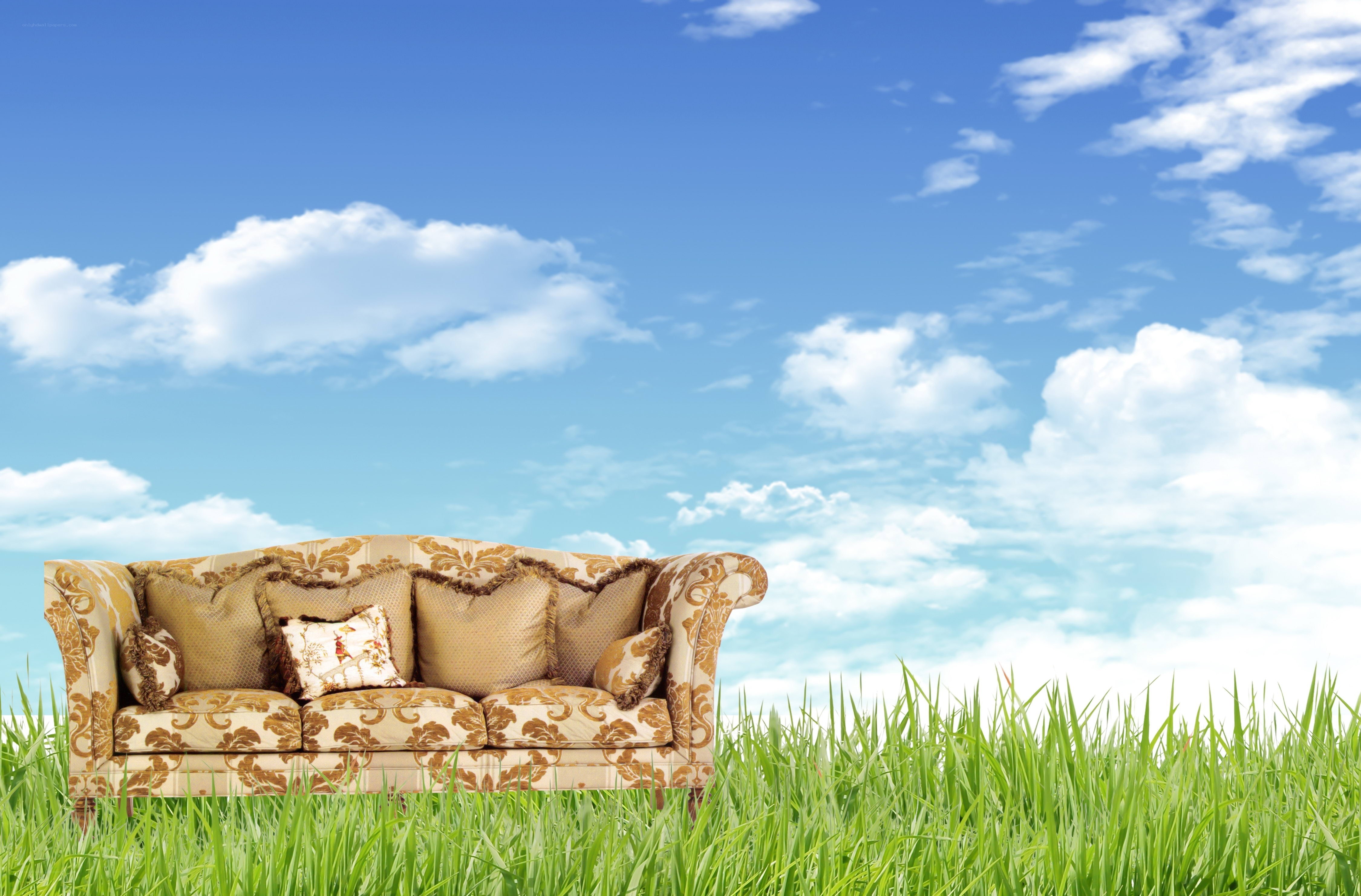Sofa in a grassy field