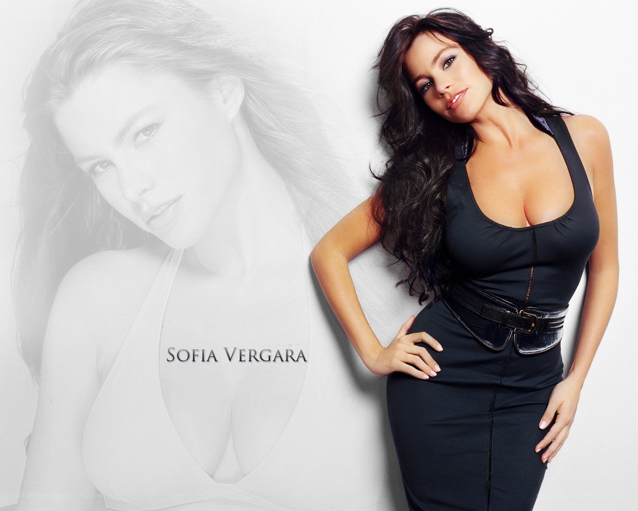 Sofia Vergara in black dress
